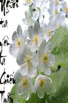 Người Ta Yêu Là Chiến Thần (1)